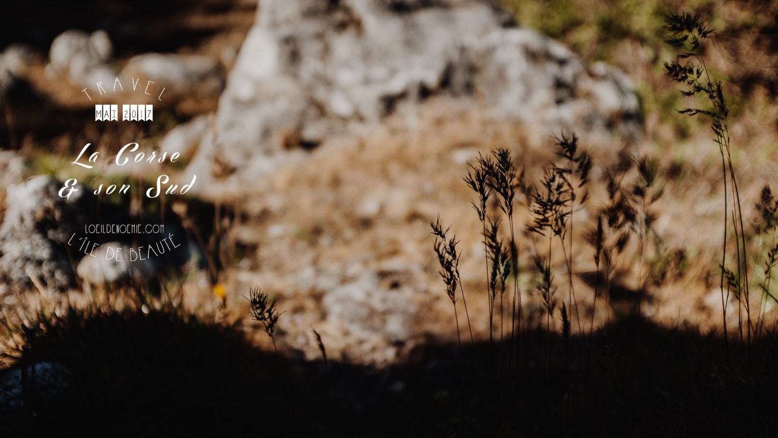 Road Trip vers les Aiguilles de Bavella. L'oeil de Noémie, photographe et blogueuse voyage. Belle photo de Corse.