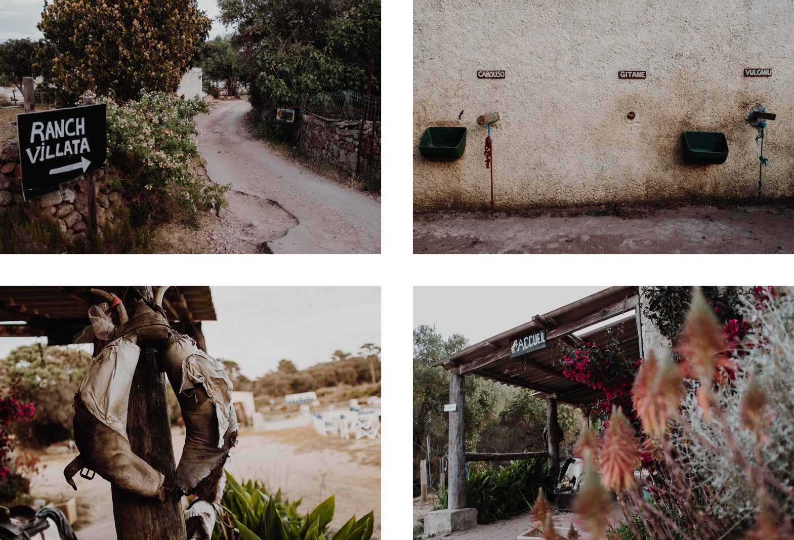 Promenade à cheval en Corse, ranch Villata, Porto-Vecchio. L'oeil de Noémie photographe voyageuse en Corse.