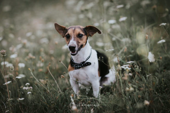 mariage romantique et bucolique Château des Martinanches, Auvergne, par L'oeil de Noémie meilleur photographe mariage France par ZIWA 2019